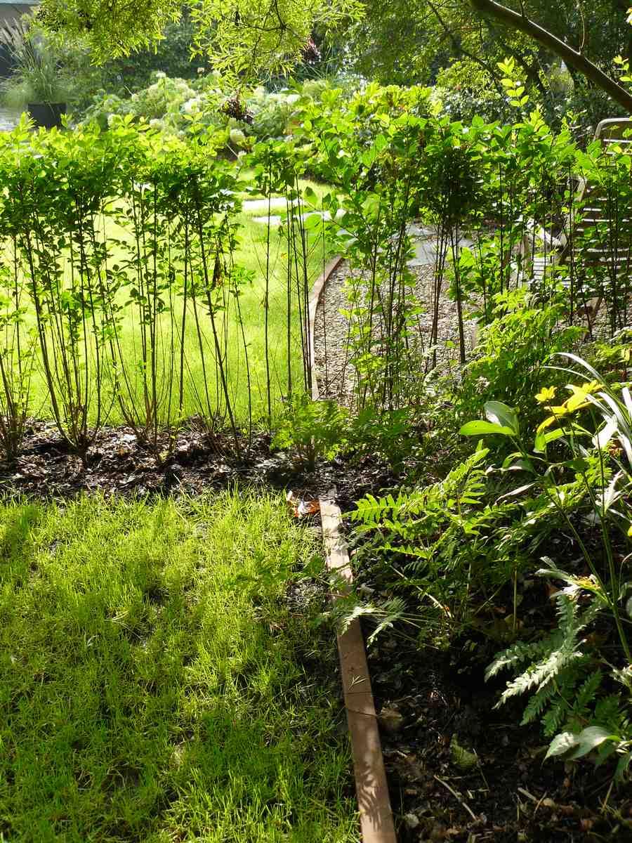 Tineke Span in 'Fan van je Tuin' Van Tuinen Tuinservice