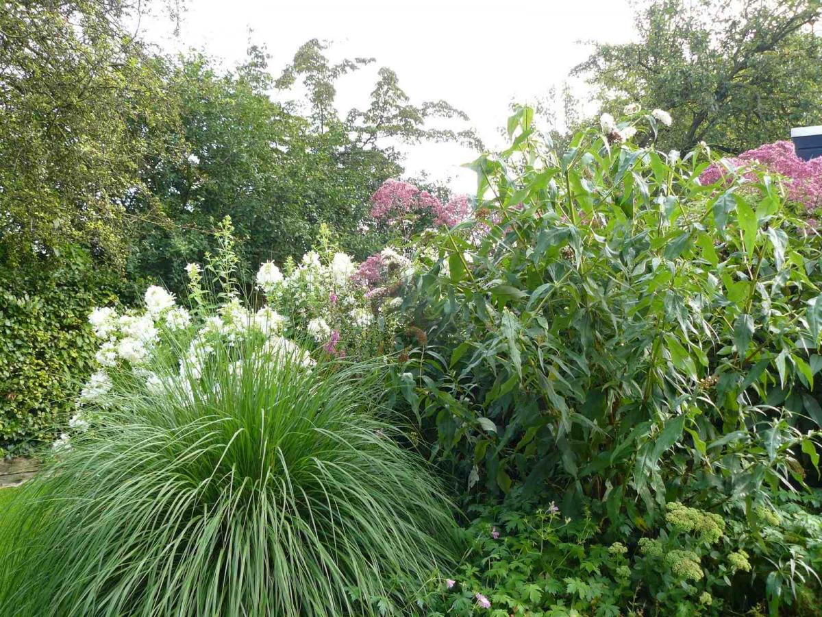 Tineke Span in 'Fan van je Tuin' Van Tuinen Tuinservice