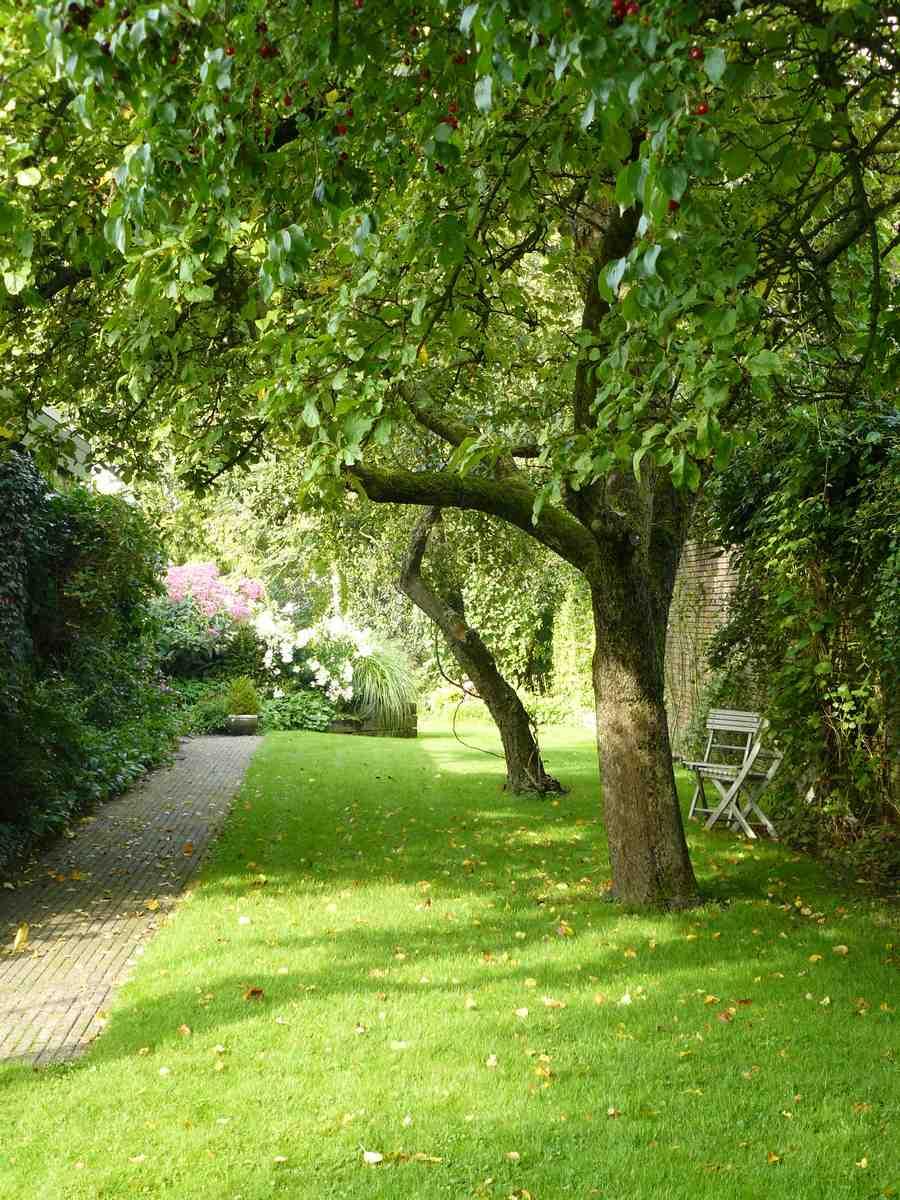 Tineke Span in 'Fan van je Tuin' Van Tuinen Tuinservice