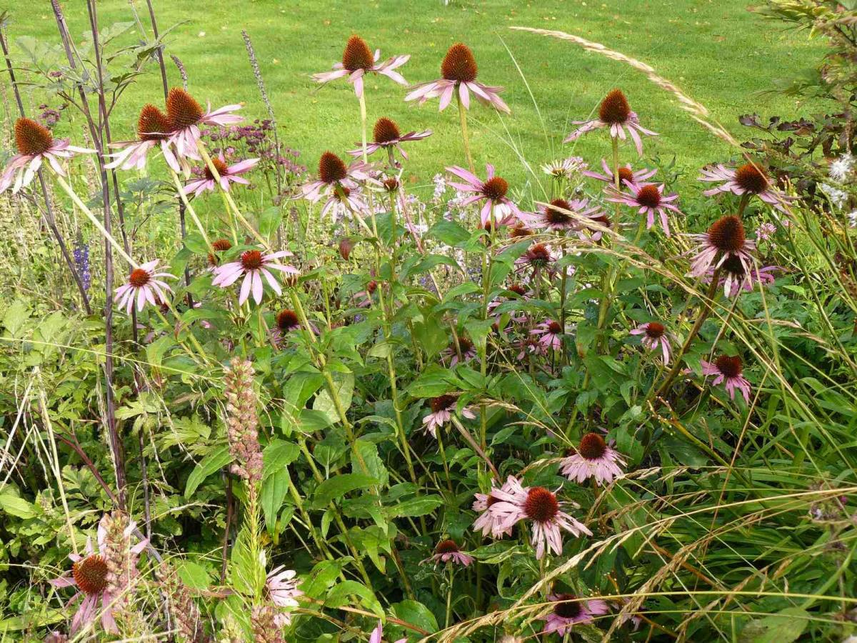 Tineke Span in 'Fan van je Tuin' Van Tuinen Tuinservice